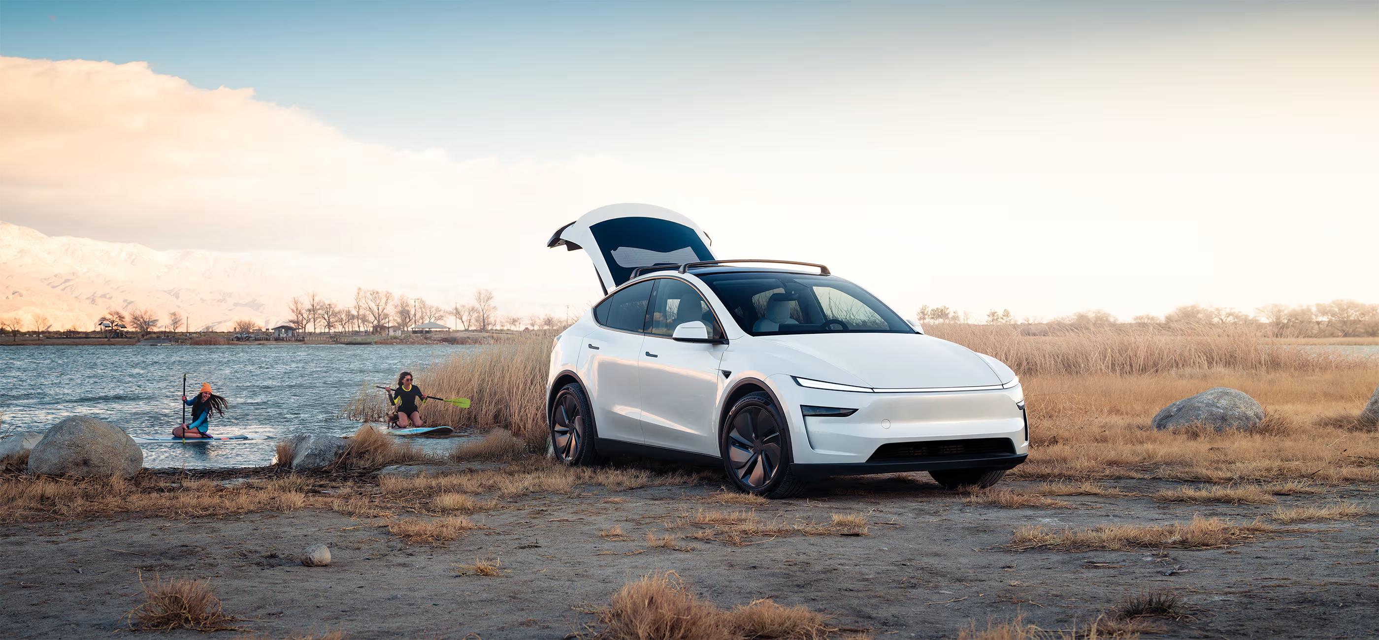 Model Y Accessories