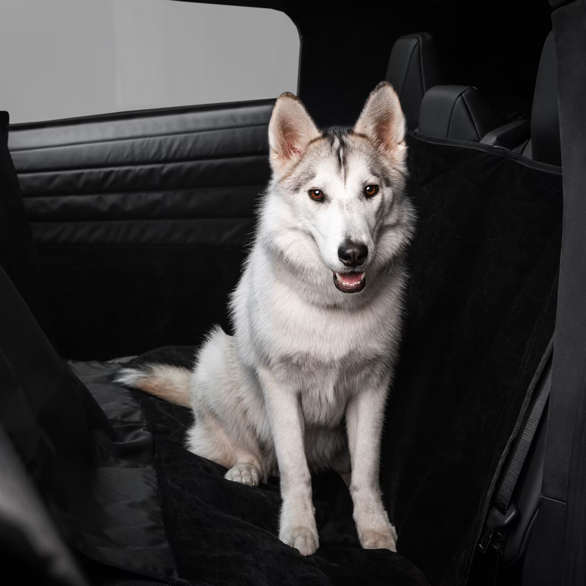 Pet Liner